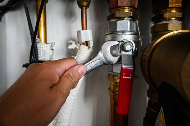 Best Water Softener Installation  in Sorrento, LA